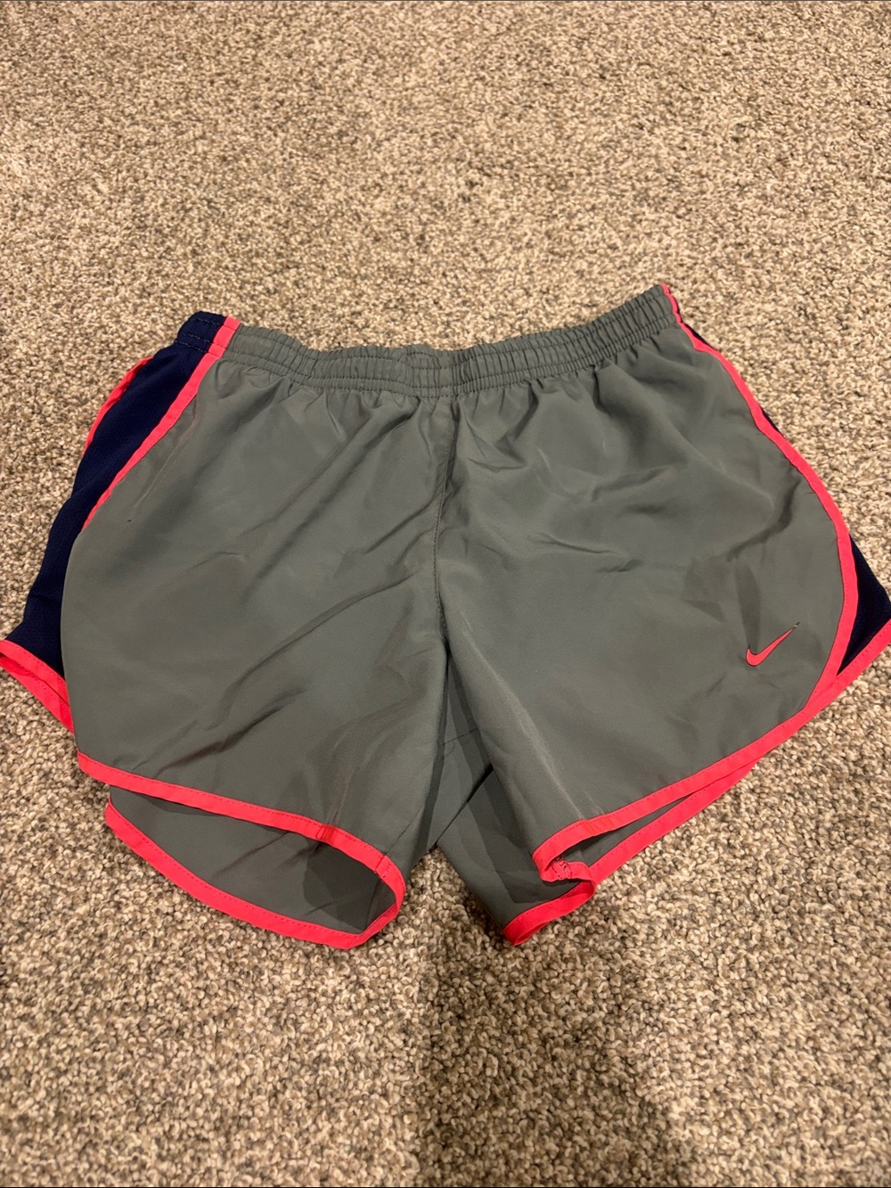Nike Gray Shorts with Pink Trim and Navy Panels
